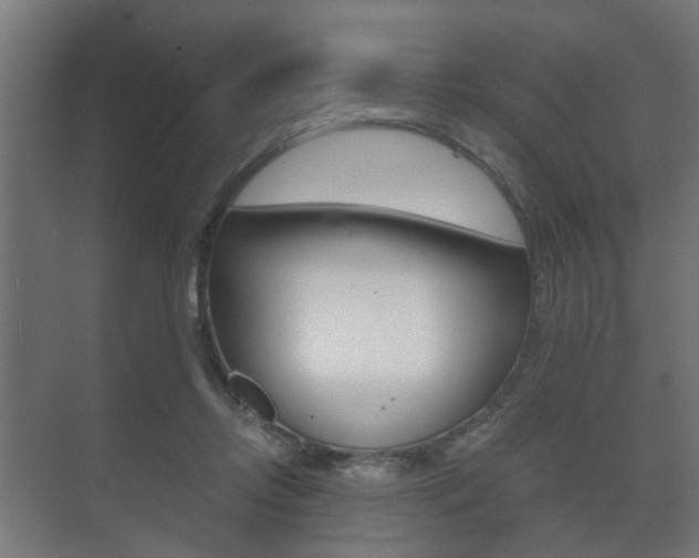 X0000073700358200608031020