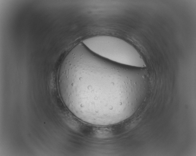 X0000073700359200608031020