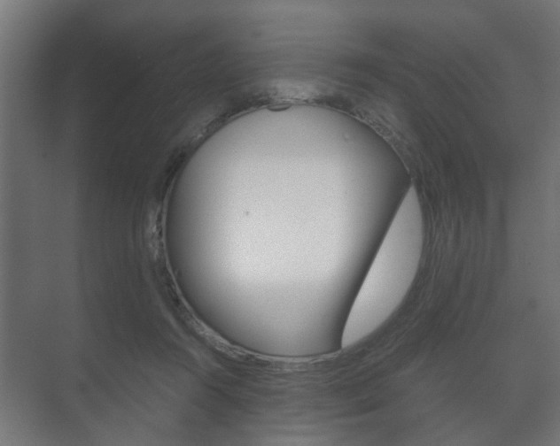 X0000073700360200608031020