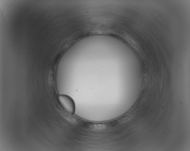 X0000073700361200608031020