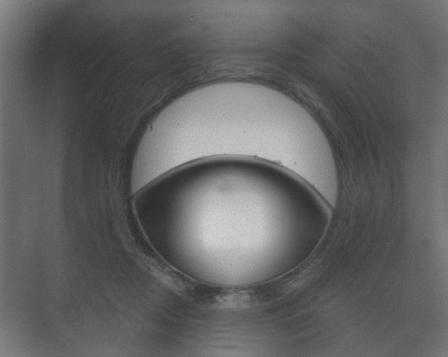 X0000073700362200608031020