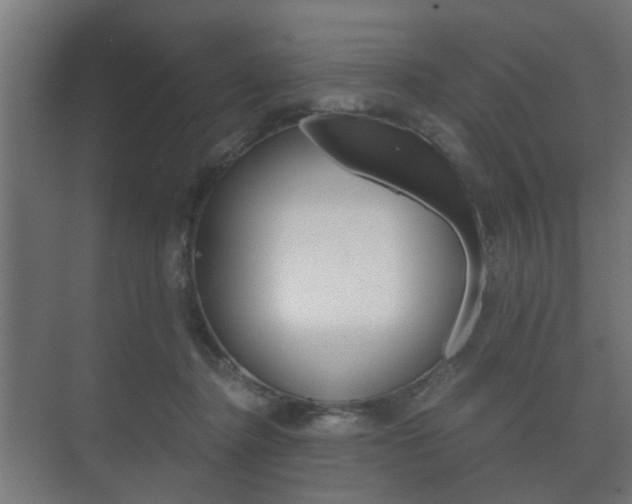 X0000073700364200608031020