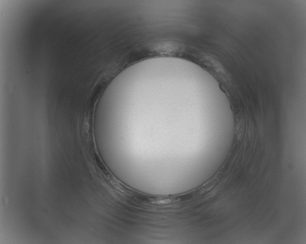 X0000073700365200608031021