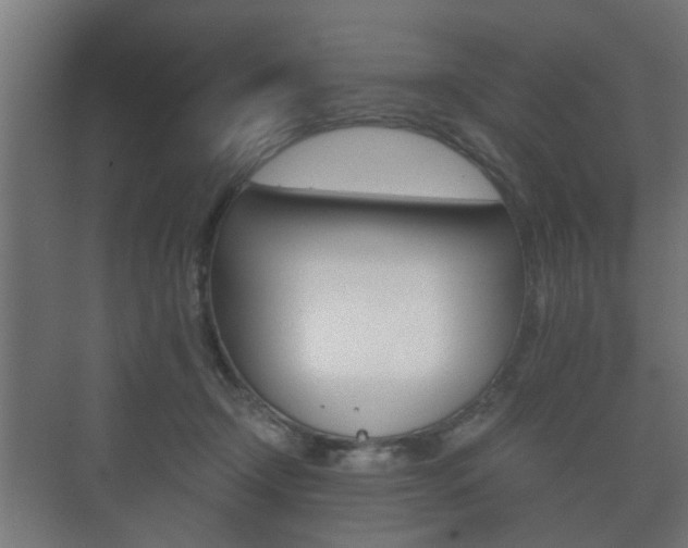 X0000073700366200608031021