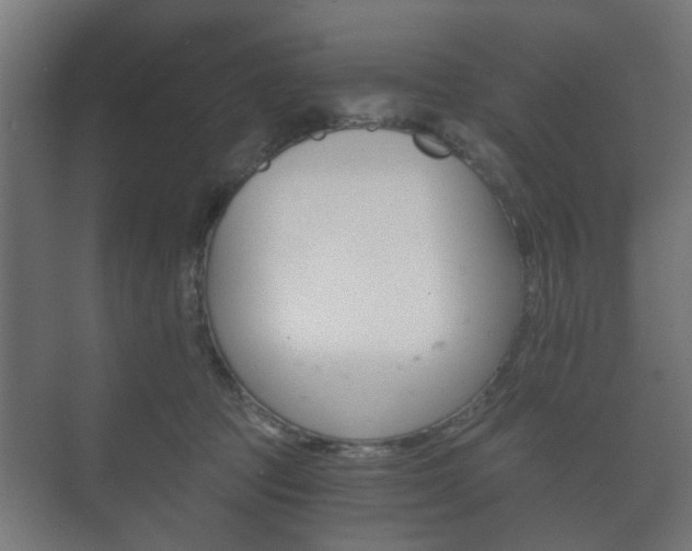 X0000073700369200608031021