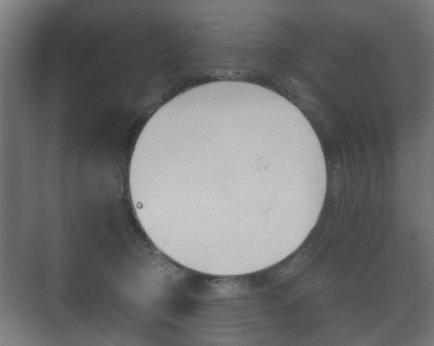 X0000073700370200608031021