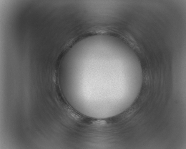 X0000073700374200608031021