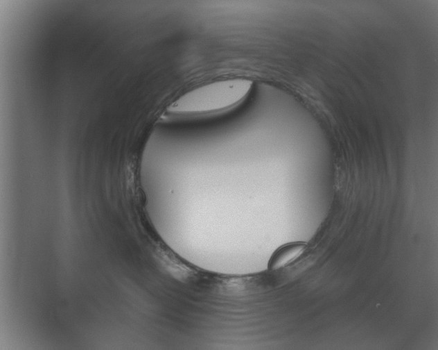 X0000073700382200608031021