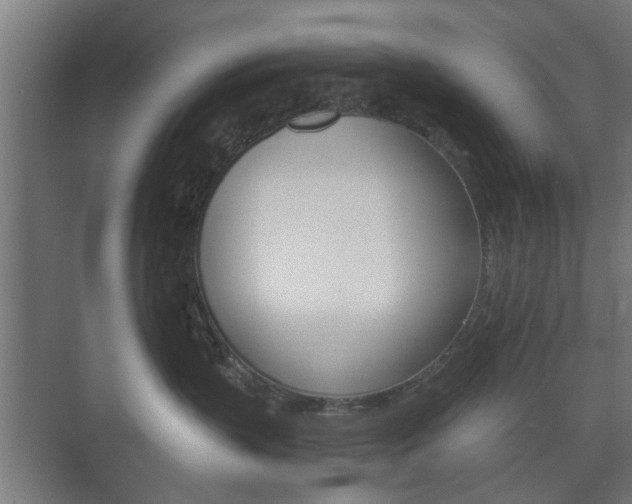 X0000073700383200608031021