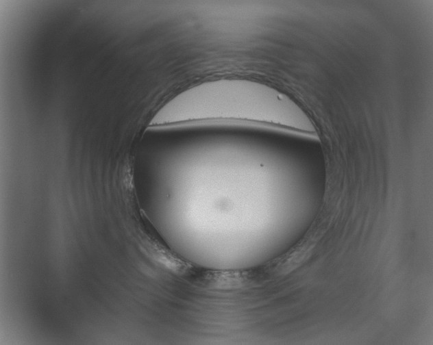 X0000073700384200608031021