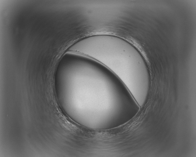 X0000073700385200608031020