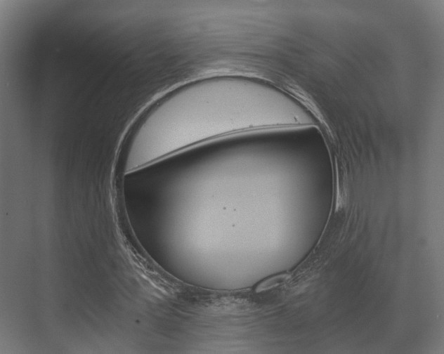 X0000073700387200608031020