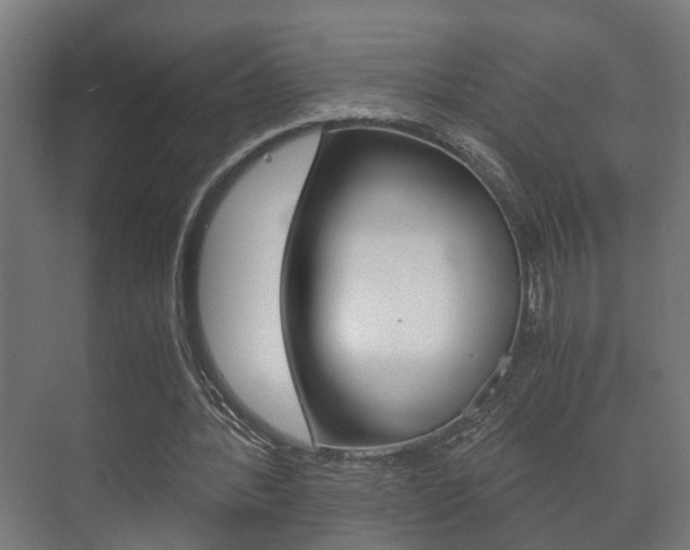 X0000073700388200608031020