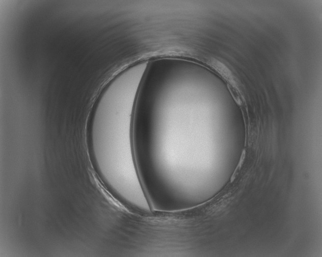 X0000073700389200608031020