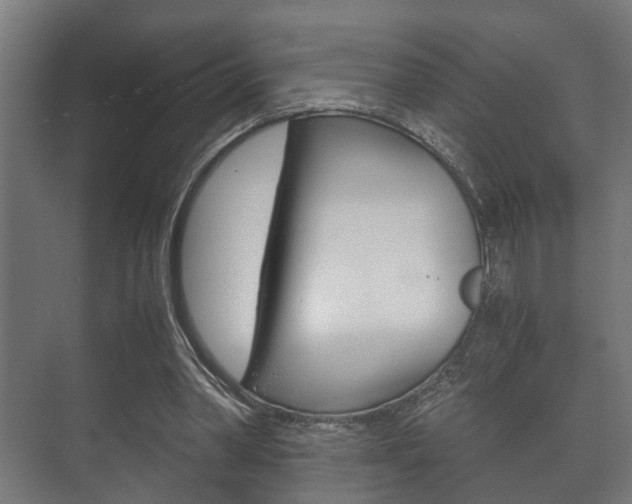 X0000073700390200608031020