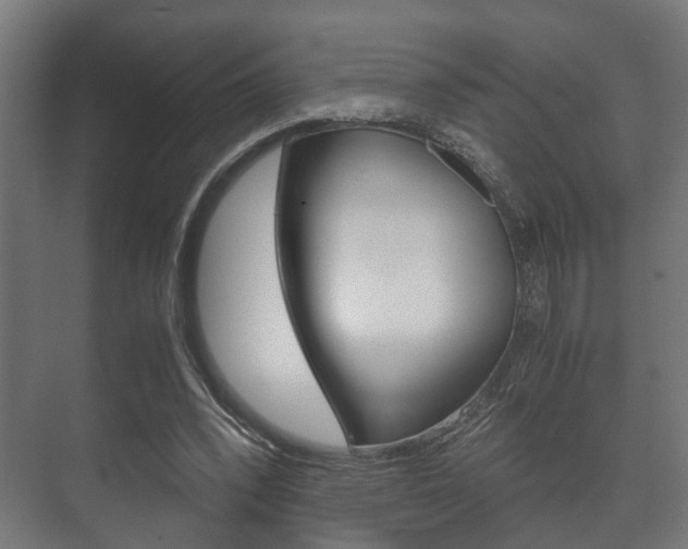 X0000073700392200608031020