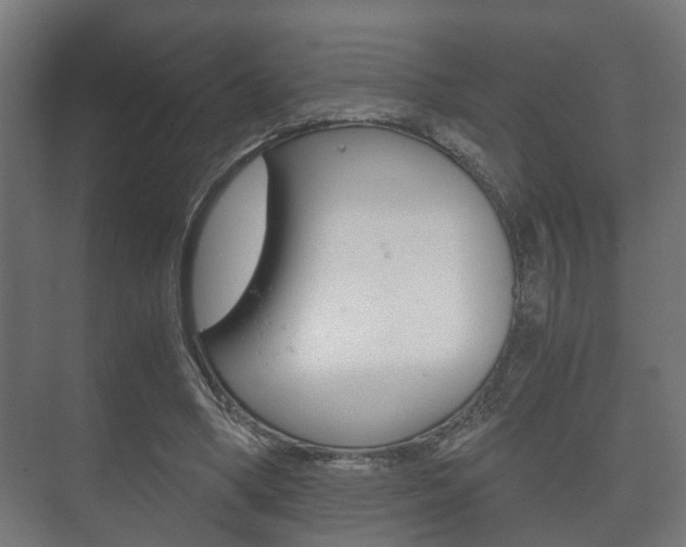 X0000073700394200608031020