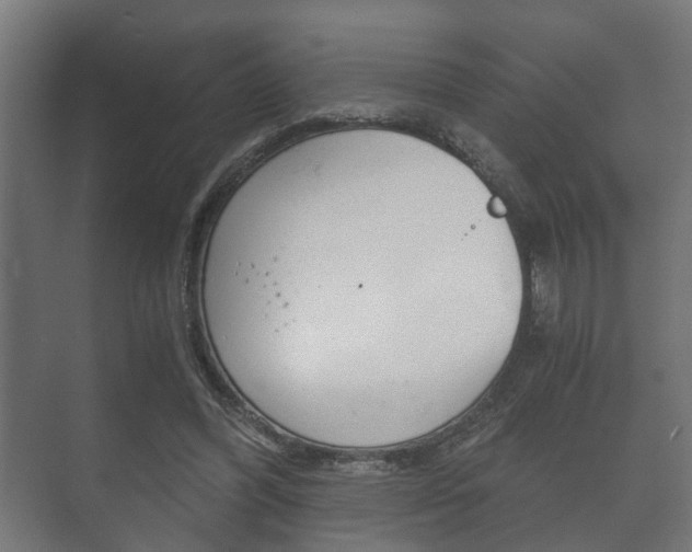 X0000073700396200608031020