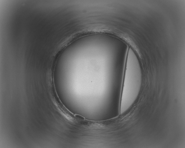 X0000073700397200608031020