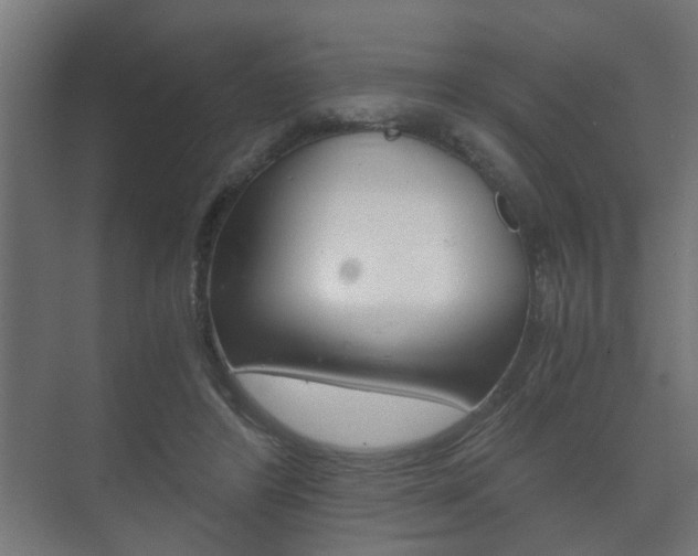 X0000073700404200608031020