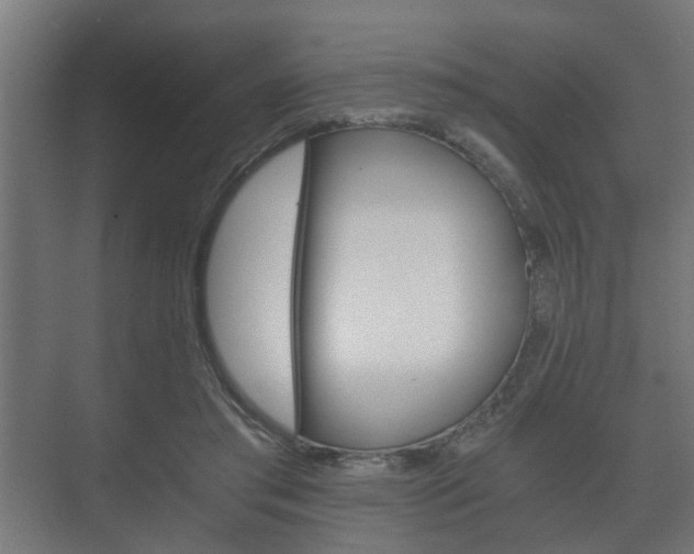 X0000073700405200608031020