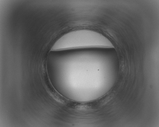 X0000073700408200608031020