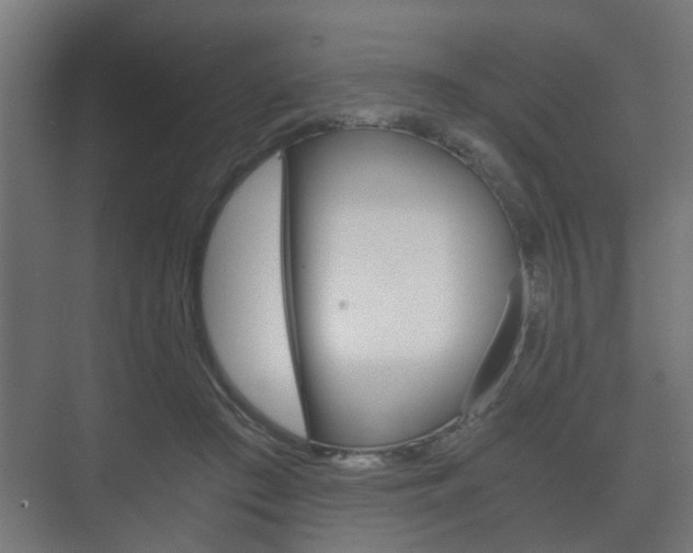 X0000073700409200608031020