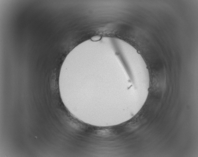 X0000073700411200608031020