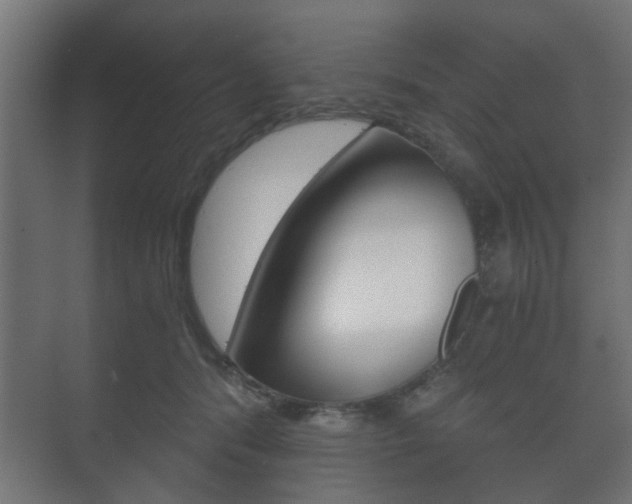 X0000073700416200608031020