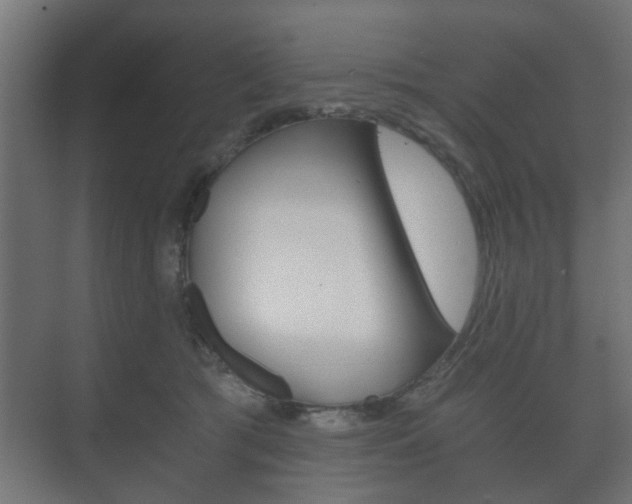 X0000073700417200608031019