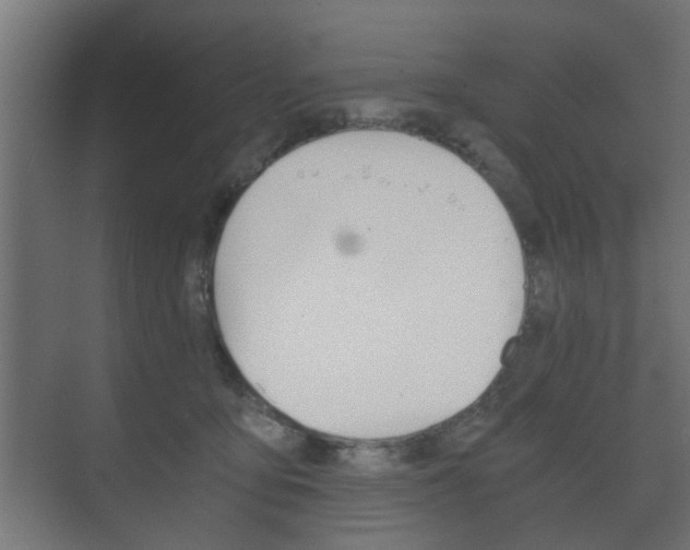 X0000073700419200608031019