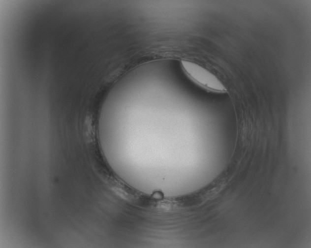 X0000073700420200608031019