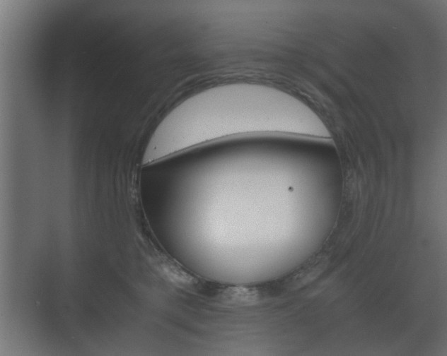 X0000073700421200608031019