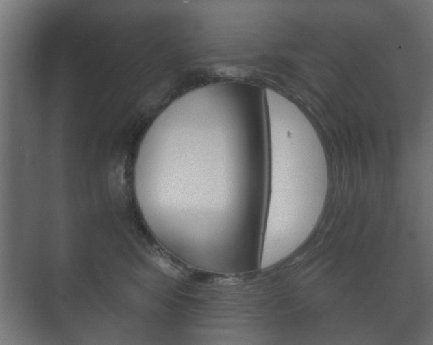 X0000073700424200608031019