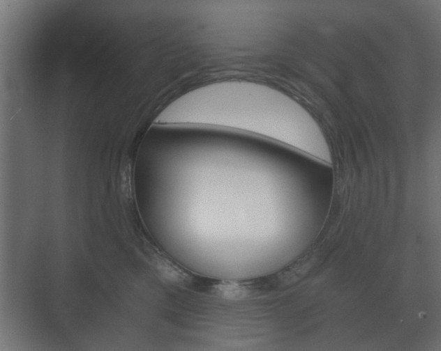 X0000073700425200608031019