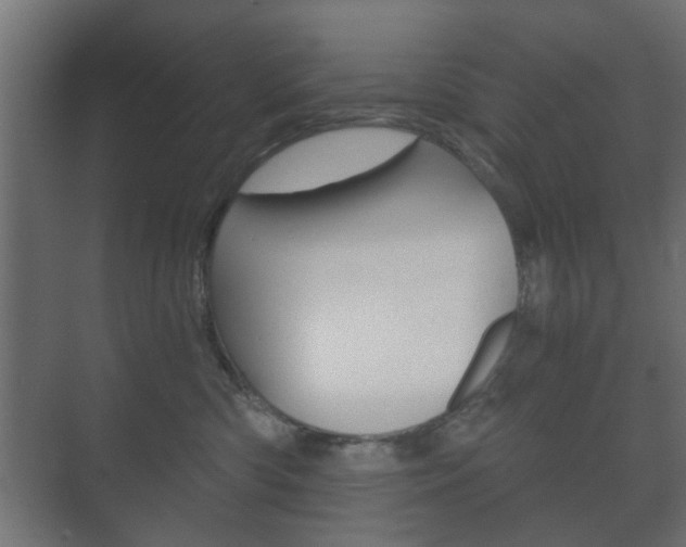 X0000073700426200608031019