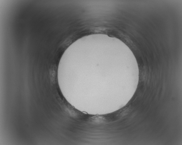 X0000073700427200608031019