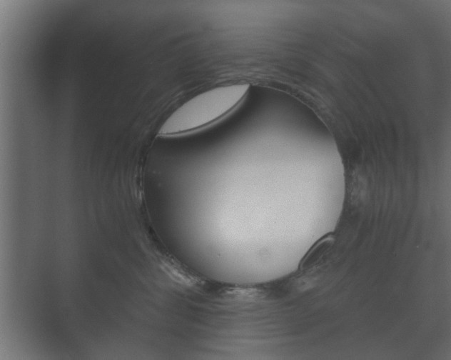 X0000073700428200608031019