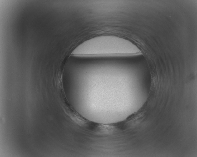 X0000073700429200608031019