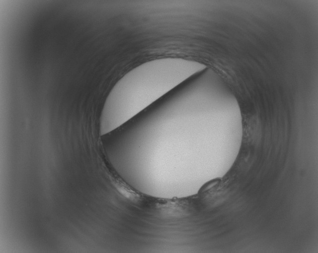 X0000073700430200608031019