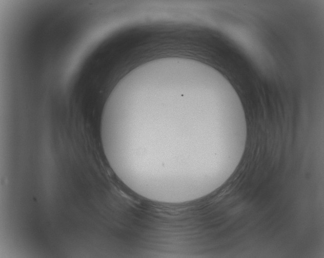 X0000073700431200608031019