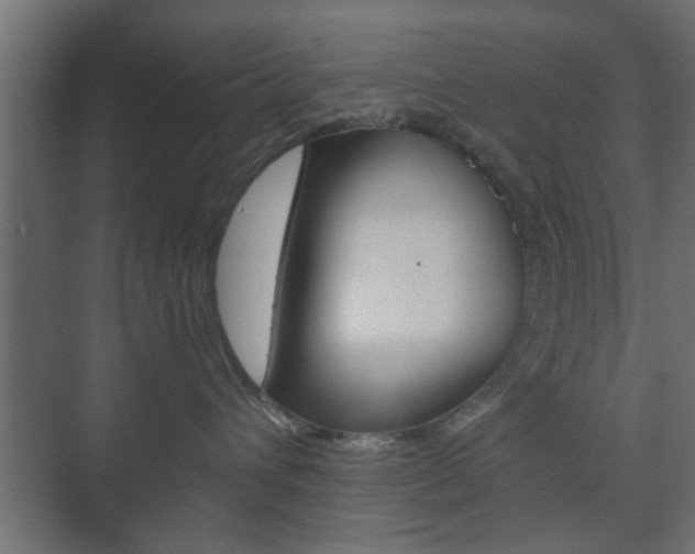 X0000073700432200608031019