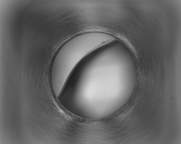 X0000073700433200608031018