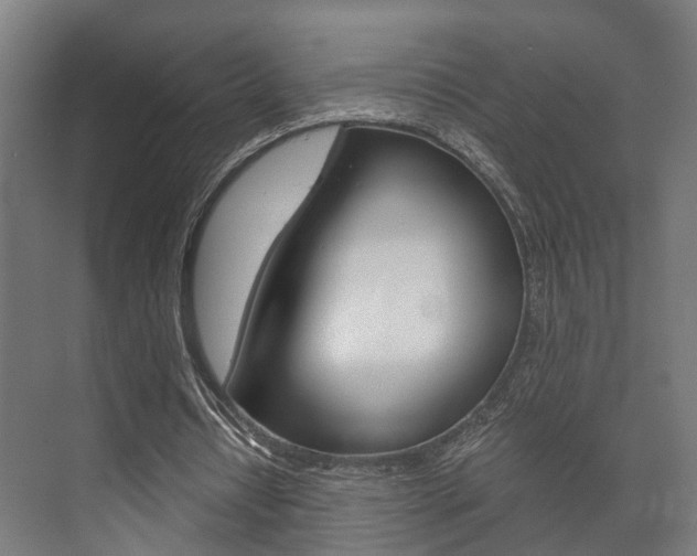 X0000073700434200608031018