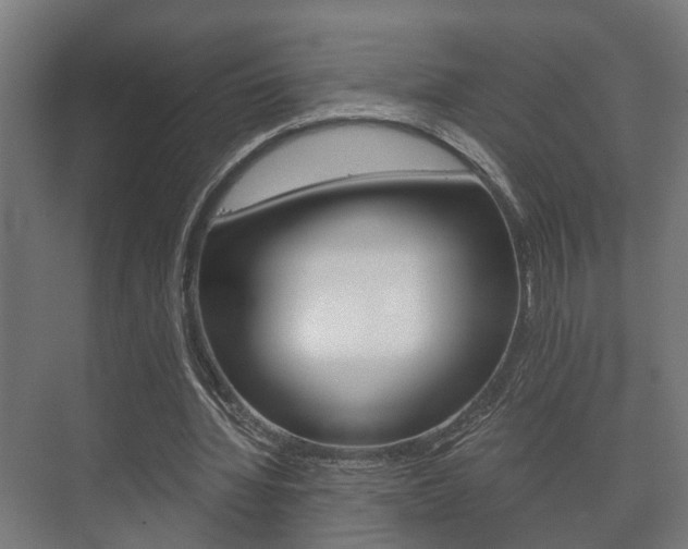 X0000073700436200608031018