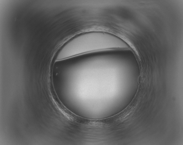 X0000073700437200608031018