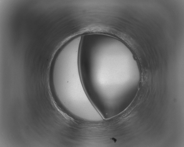 X0000073700438200608031019