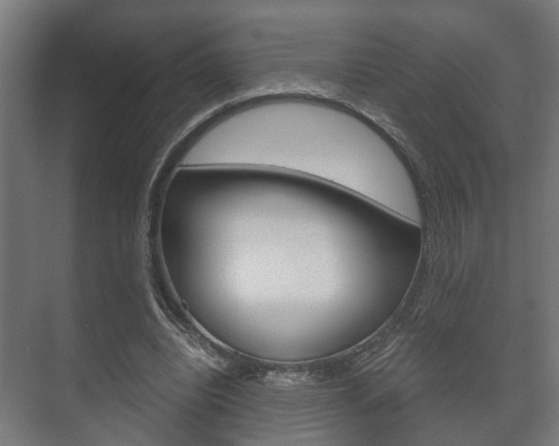 X0000073700440200608031019