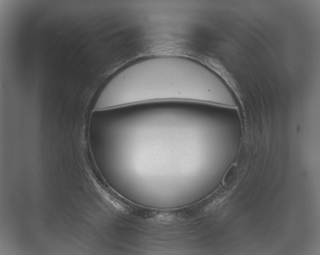 X0000073700441200608031019