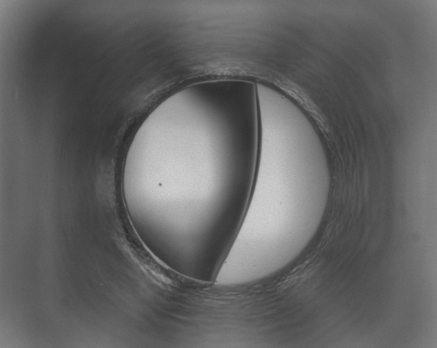 X0000073700442200608031019